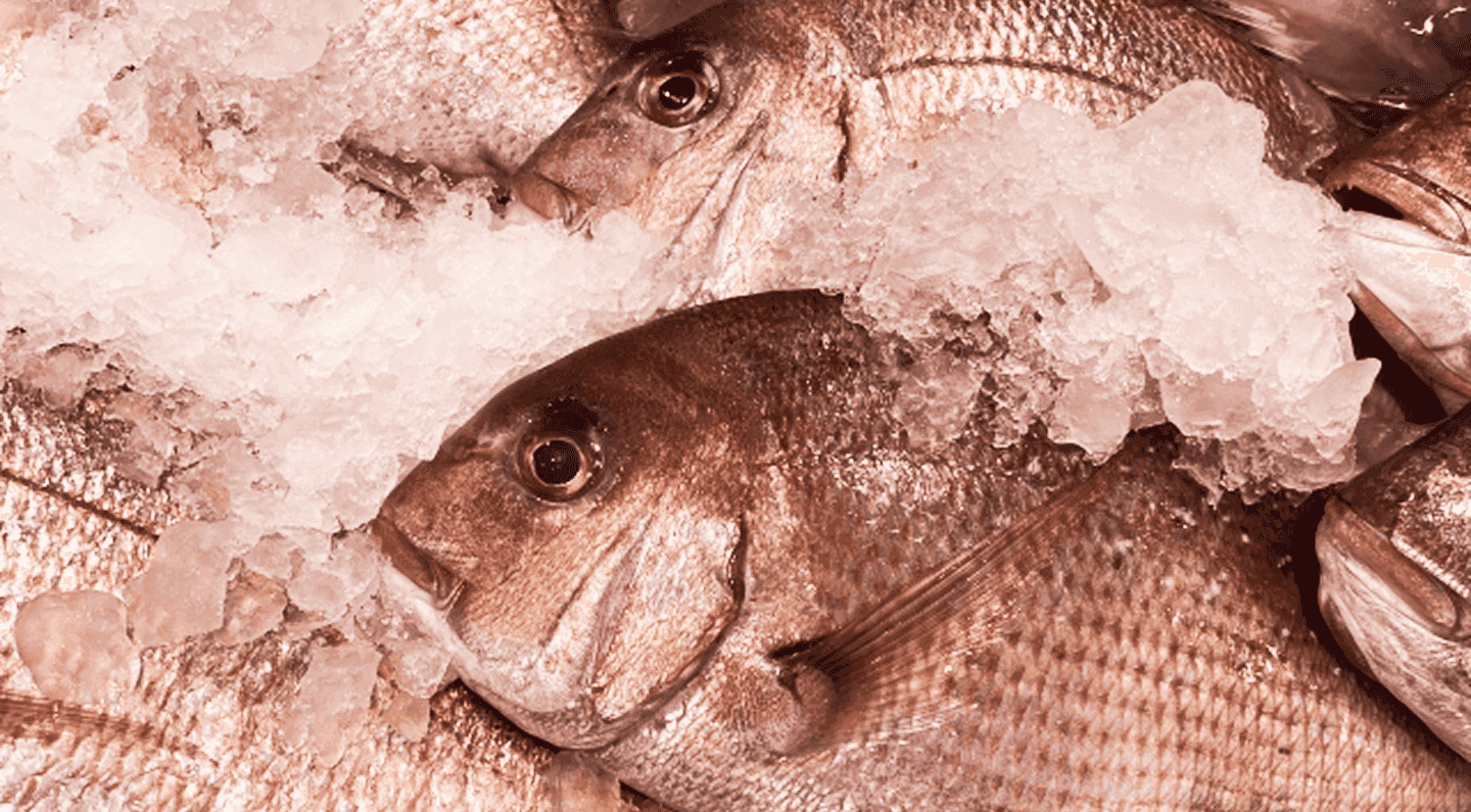 社会課題の解決に貢献